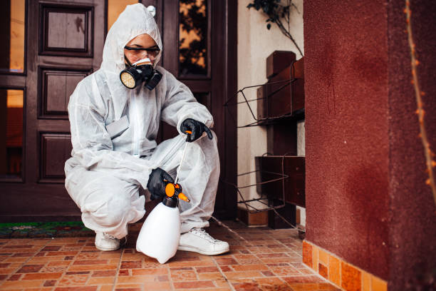 Reliable Cockroach Control contractor in Bonneau Beach, SC by Nex Pest Control